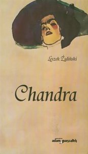Picture of Chandra