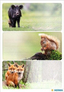 Picture of Naklejki szkolne - Zwierzęta leśne 9szt