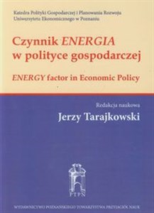 Obrazek Czynnik energia w polityce gospodarczej