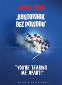 polish book : Buntownik ... - Nicholas Ray