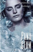 Panaceum - Agnieszka Sudomir -  books in polish 