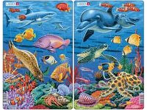 Picture of Rafa koralowa zestaw