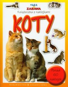 Picture of Nauka i zabawa Koty Książeczka z naklejkami
