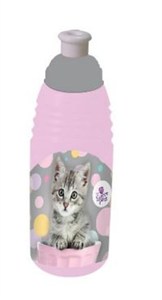 Picture of Bidon Kot