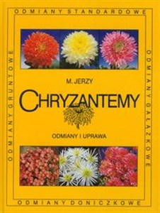 Picture of Chryzantemy Odmiany i uprawa