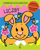 Liczby Ruc... - Jan Kazimierz Siwek -  Polish Bookstore 