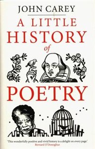 Picture of A Little History of Poetry