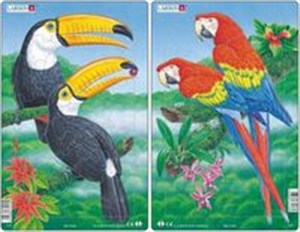 Obrazek Egzotyczne ptaki zestaw