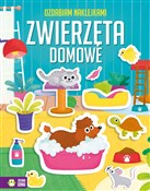 Ozdabiam n... - Opracowanie Zbiorowe -  Polish Bookstore 