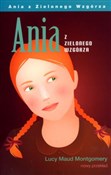 Ania z Zie... - Lucy Maud Montgomery -  foreign books in polish 