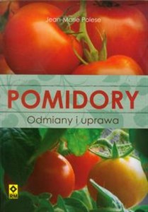 Obrazek Pomidory Odmiany i uprawa