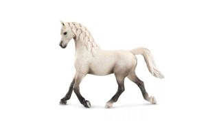 Obrazek Klacz rasy arabskiej