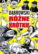 Strefa Kom... - Ryszard Dąbrowski -  books from Poland