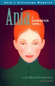 Ania z Szu... - Lucy Maud Montgomery -  Polish Bookstore 