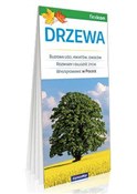 Drzewa - Opracowanie Zbiorowe -  Polish Bookstore 