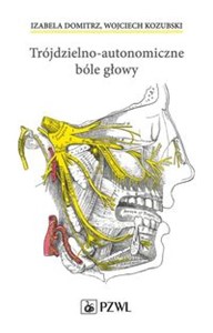 Obrazek Trójdzielno-autonomiczne bóle głowy