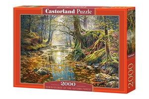 Obrazek Puzzle Reminiscence of the Autumn Forest 2000 C-200757