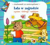 polish book : Lato w zag... - Agnieszka Bator