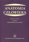 polish book : Anatomia c...