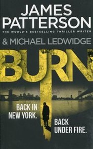 Picture of Burn
