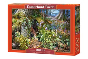 Picture of Puzzle From Rusland Woods 2000 C-200764