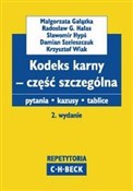 Polska książka : Kodeks kar... - Małgorzata Gałązka, Radosław G. Hałas, Sławomir Hypś