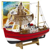 polish book : Model kole...