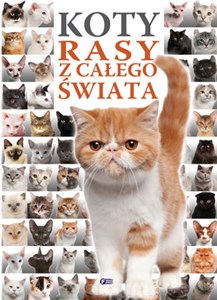 Obrazek Koty rasy z całego świata