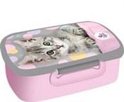 Pojemnik n... -  books in polish 