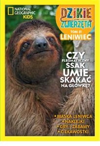 Obrazek Dzikie Zwierzęta cz.21 Leniwiec  /K/ Leniwiec