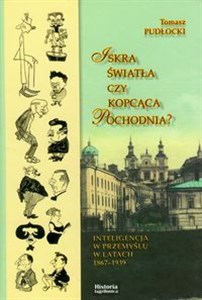 Obrazek Iskra światła czy kopcąca pochodnia?