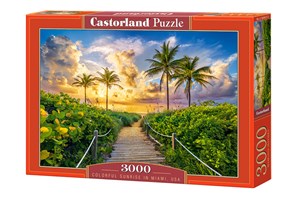 Picture of Puzzle 3000 Colorful Sunrise in Miami, USA