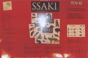 Picture of Ssaki IV
