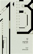 13 pięter - Filip Springer - Ksiegarnia w UK