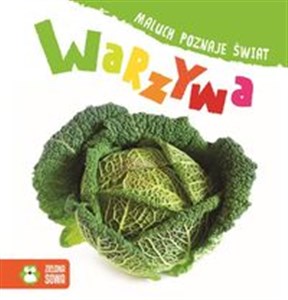Picture of Maluch poznaje świat Warzywa