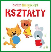Polska książka : Kształty B... - Opracowanie Zbiorowe