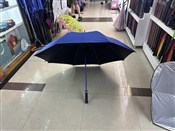 Parasol au... -  books from Poland