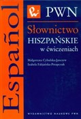 Słownictwo... - Małgorzata Cybulska-Janczew, Izabela Fabjańska-Potapczuk - Ksiegarnia w UK