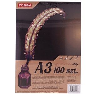 Obrazek Papier Brystol A3 100 ark.300g