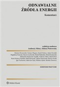 Książka : Odnawialne... - Kamil Dobosz, Ambroży Mituś, Jakub Zięty, Marcin Grzybowski, Aleksandra Kudrzycka-Szypiłło, Beata Pa