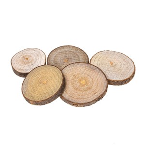 Obrazek Plastry drewna 4-6cm