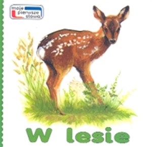 Picture of W lesie