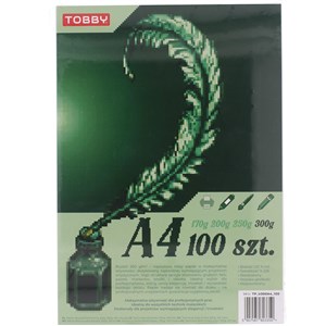 Picture of Papier brystol A4 100 ark.300g