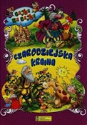 polish book : Czarodziej... - Opracowanie Zbiorowe