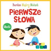Pierwsze s... - Katarzyna Nowowiejska -  books from Poland