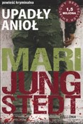 Upadły Ani... - Mari Jungstedt -  books in polish 
