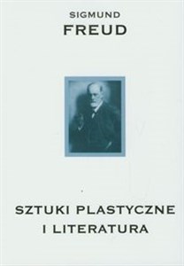 Picture of Sztuki plastyczne i literatura