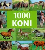 Książka : 1000 koni - Ulricke Schober