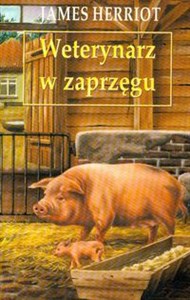 Obrazek Weterynarz w zaprzęgu