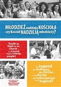 Młodzież n... - Jan Dziedzic, Maciej Ostrowski, Tadeusz Panuś -  books from Poland